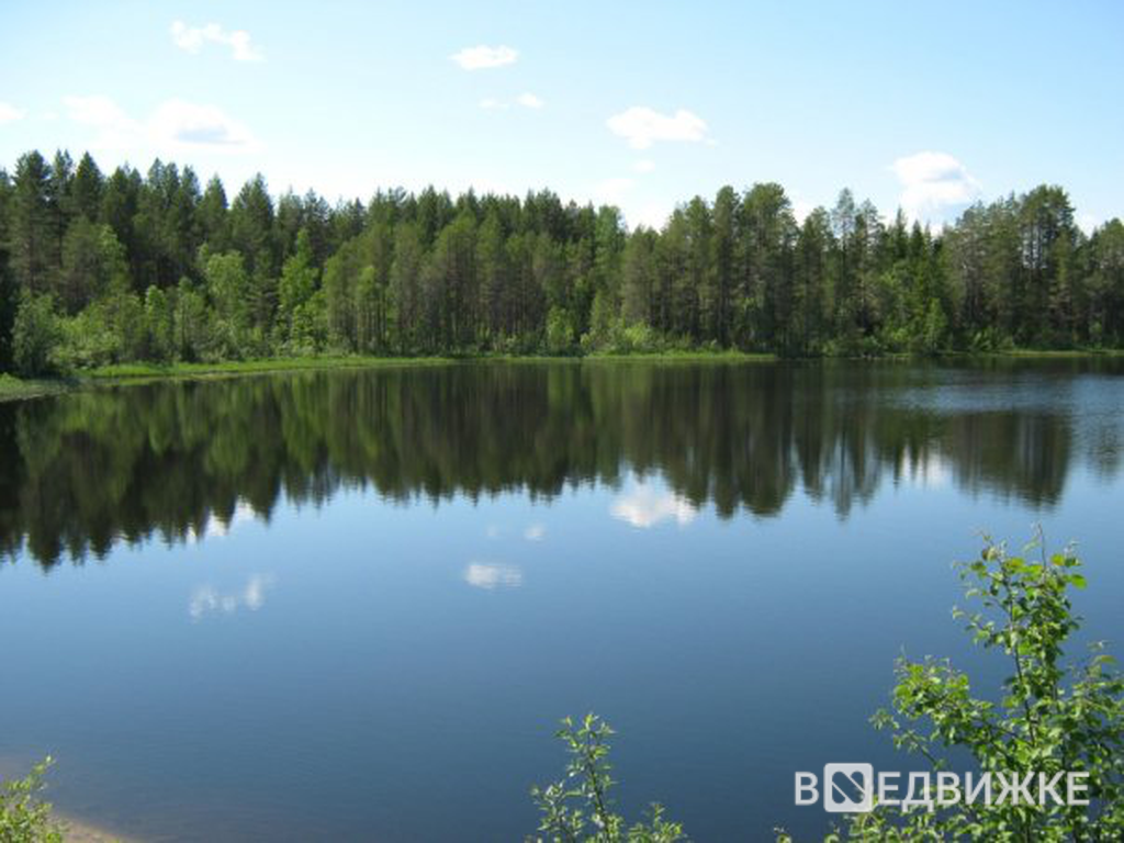 Погода летнеозерский архангельская. Поселок Летнеозерский. Летнеозерский Архангельская. Обозерский Архангельская область. Летнеозерский станция.