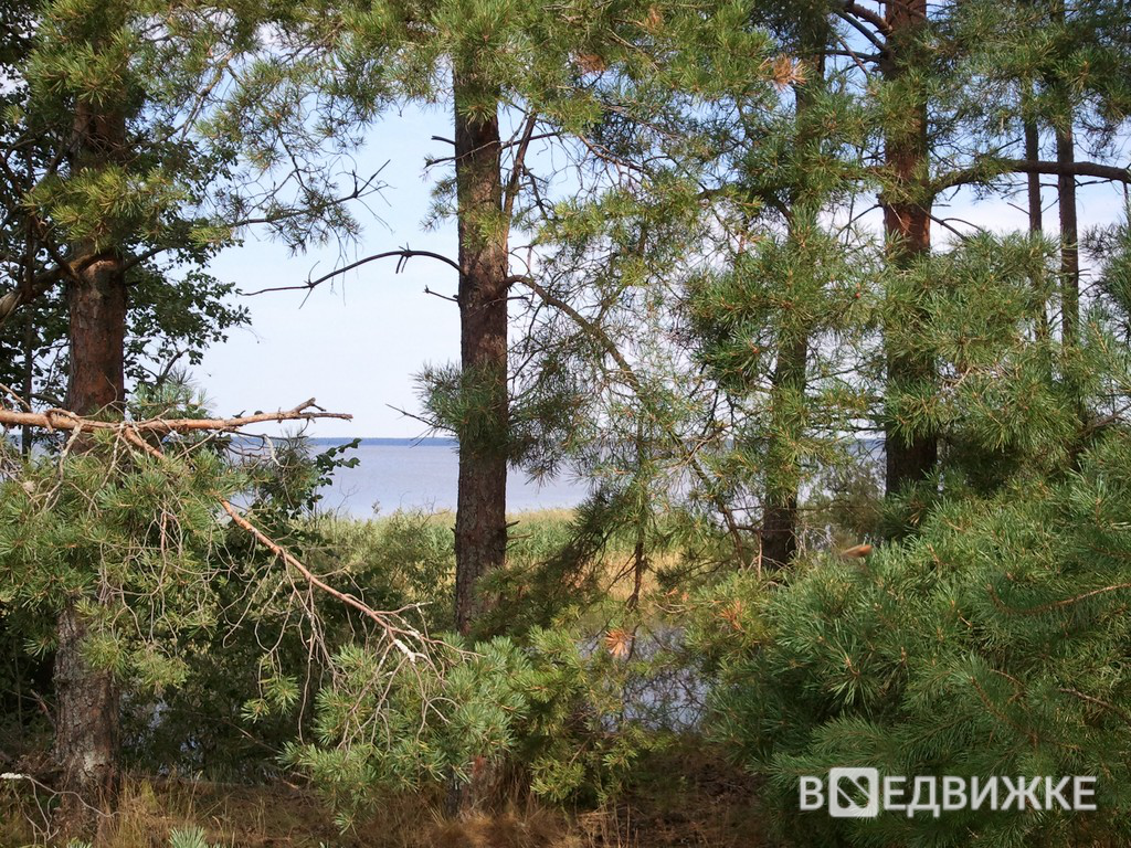 Земельный участок 110 сот, деревня Глинское – купить – вНедвижке