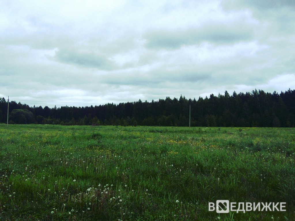 Земельный участок 28 сот, село Гоша – купить – вНедвижке