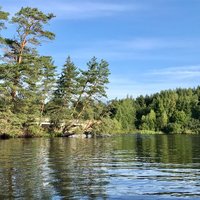 Погода пленишник. Пленишник Череповецкий. Деревня Пленишник Череповецкий район. Вологодская область Череповецкий р-н д Пленишник. Д Пленишник Череповецкого района.